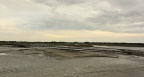 IMG 4957